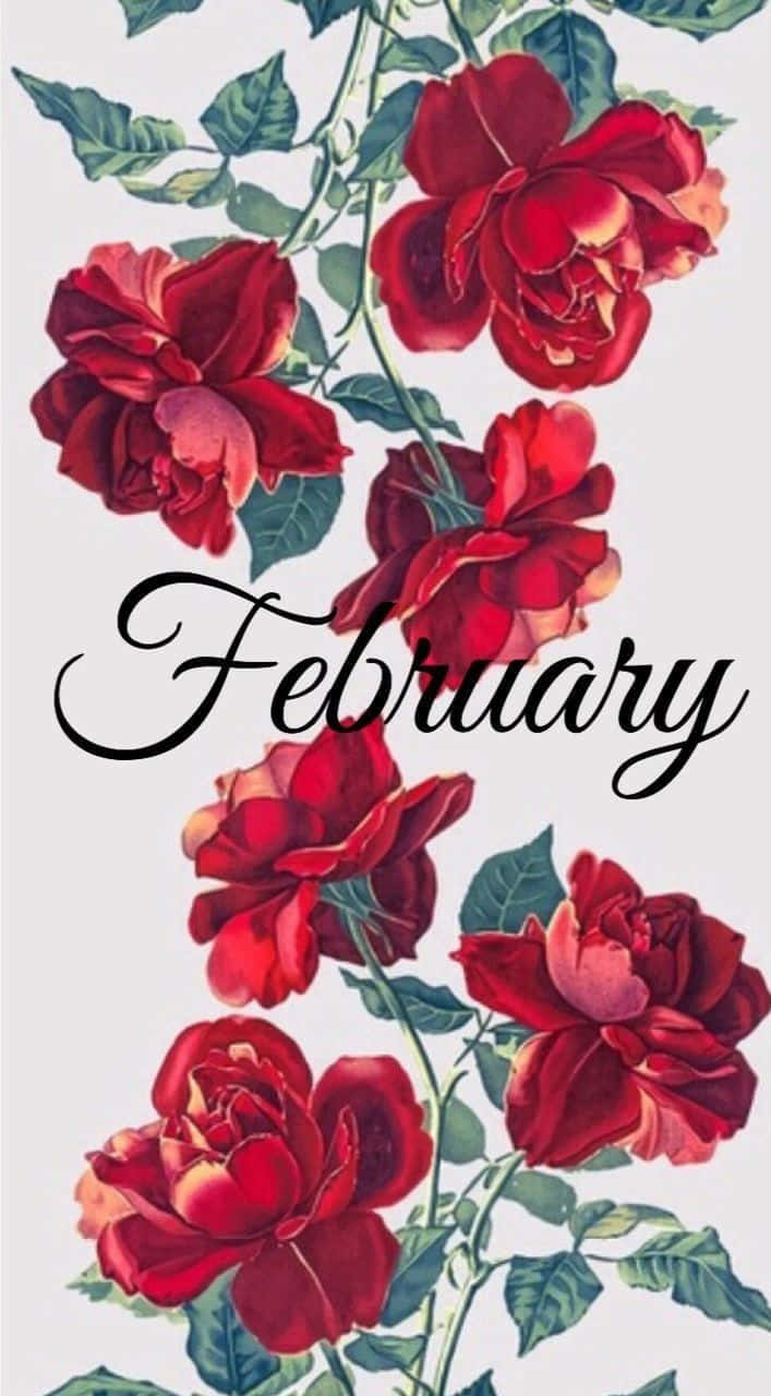 Start Your February With Excitement And Happiness! Background