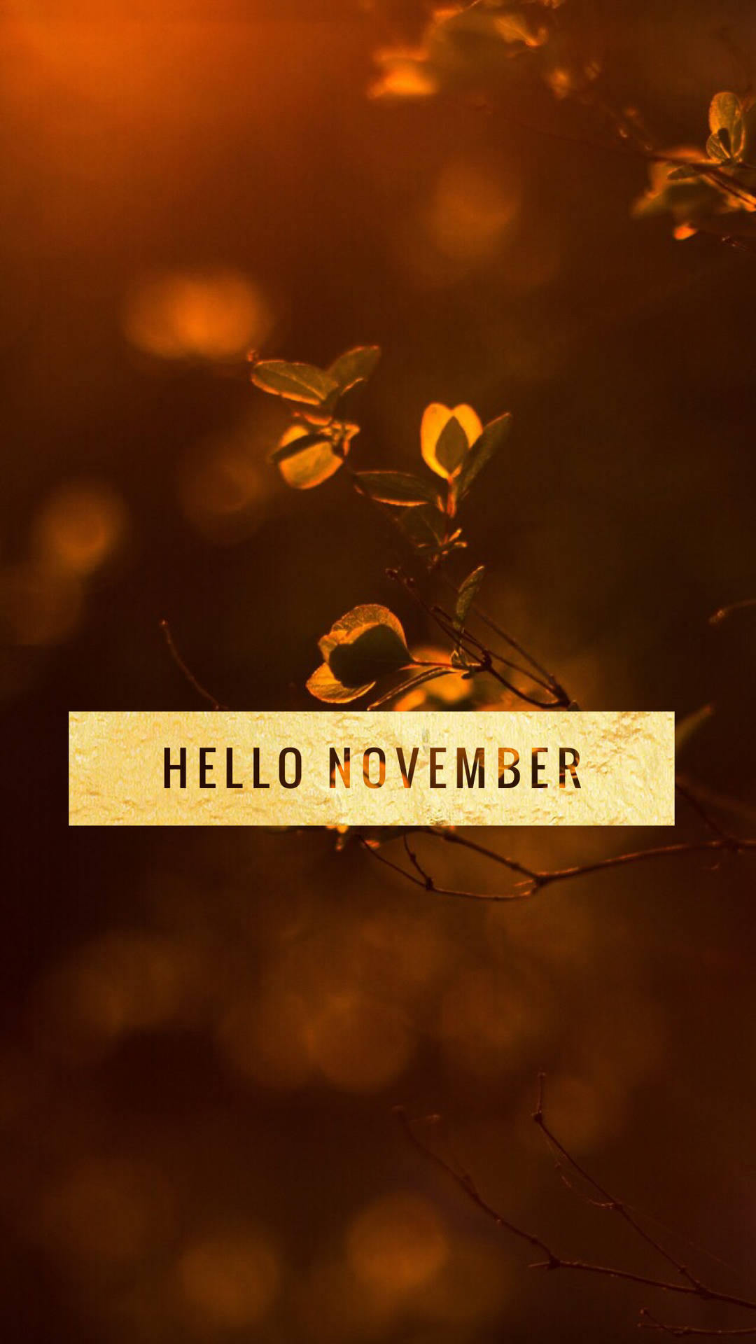 Starting The Holiday Season With The Newest November Iphone! Background