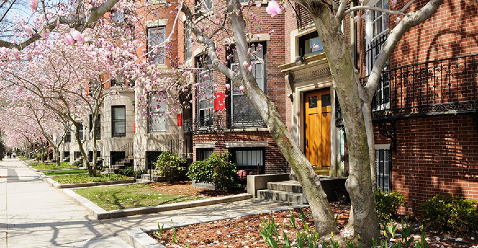 Stately Boston University Brownstone Dormitories Background