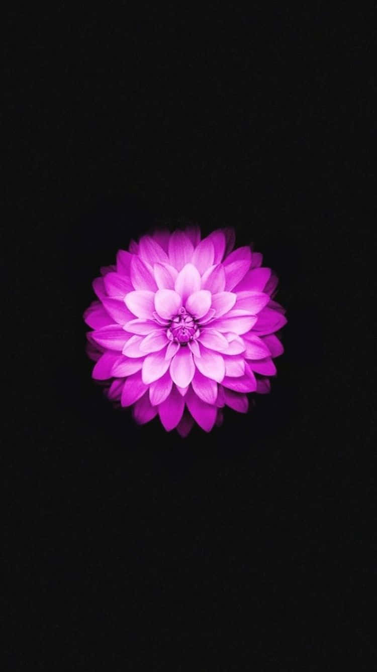 Stay Ahead Of The Curve With The Sleek Iphone 6s. Background