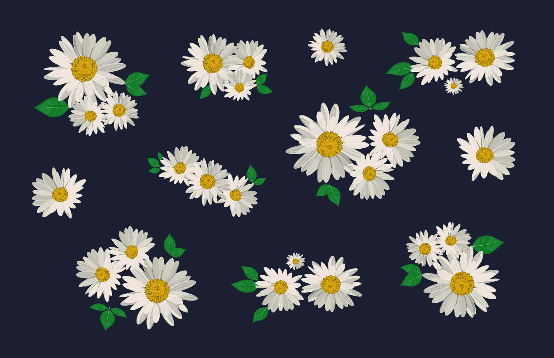 Stay Ahead Of The Game With Daisy Aesthetic Background