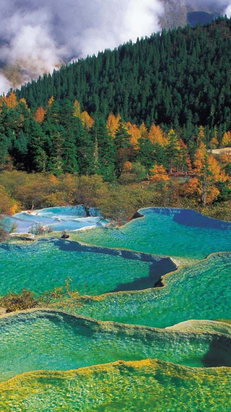 Stay Connected On Your Travels With Travel Phone