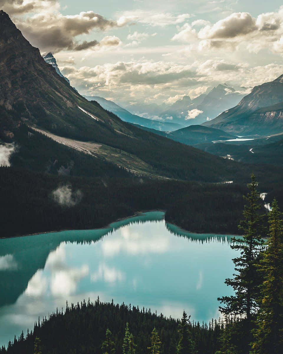 Stay Connected While You Travel! Background