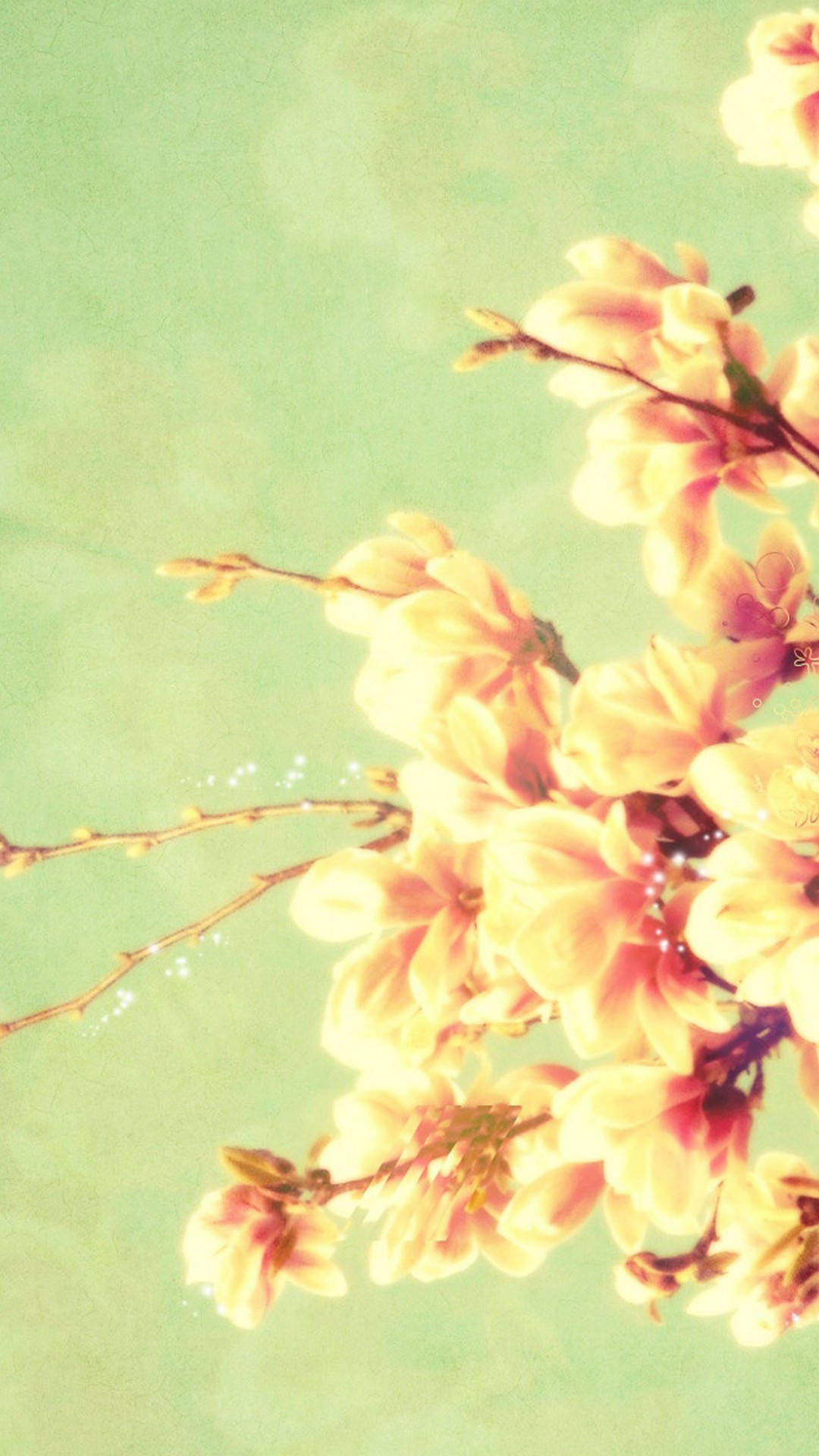 Stay Connected With This Cute Spring Phone. Background