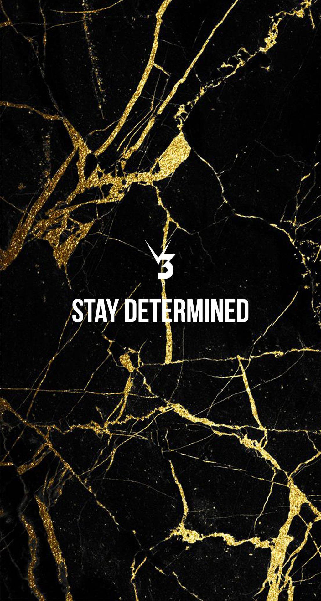 Stay Determined Fitness Motivations