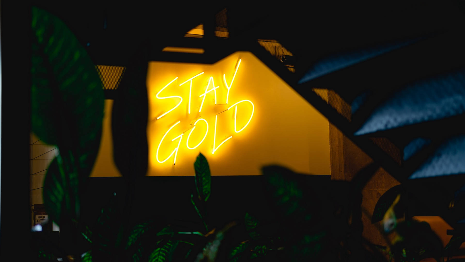 Stay Gold Signage Neon Yellow Led Background