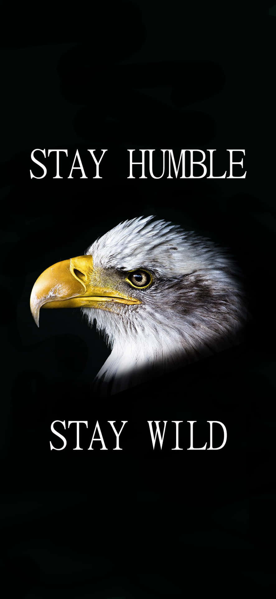 Stay Humble And Wild Background