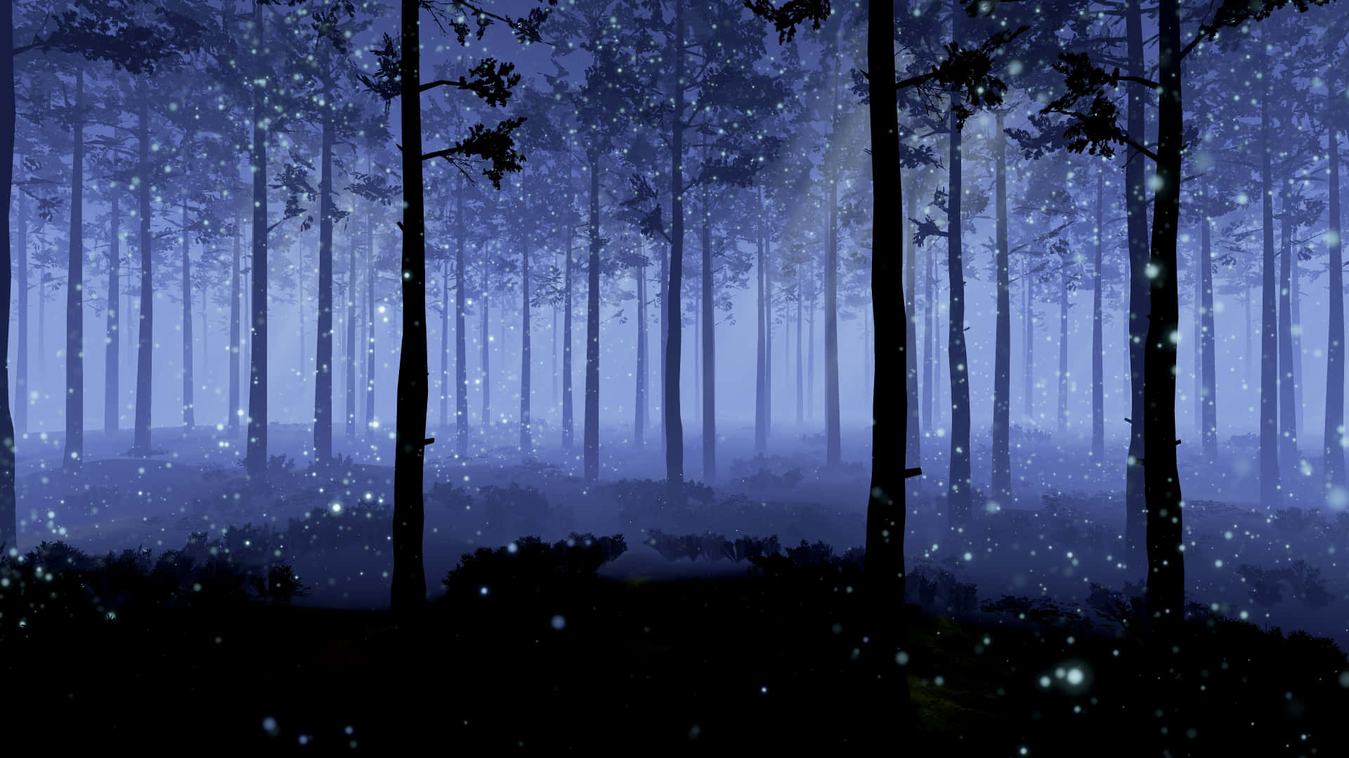 Stay In Tune With The Beauty Of Nature With A View Of A Moonlit Night Forest. Background