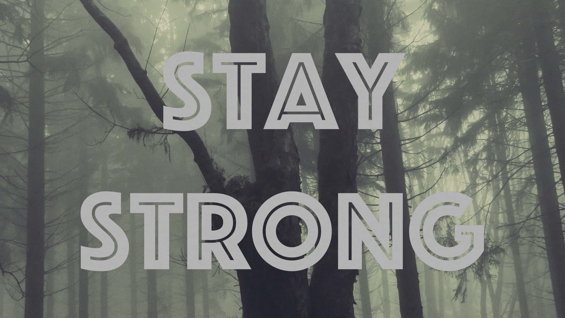 Stay Strong - A Forest With Trees