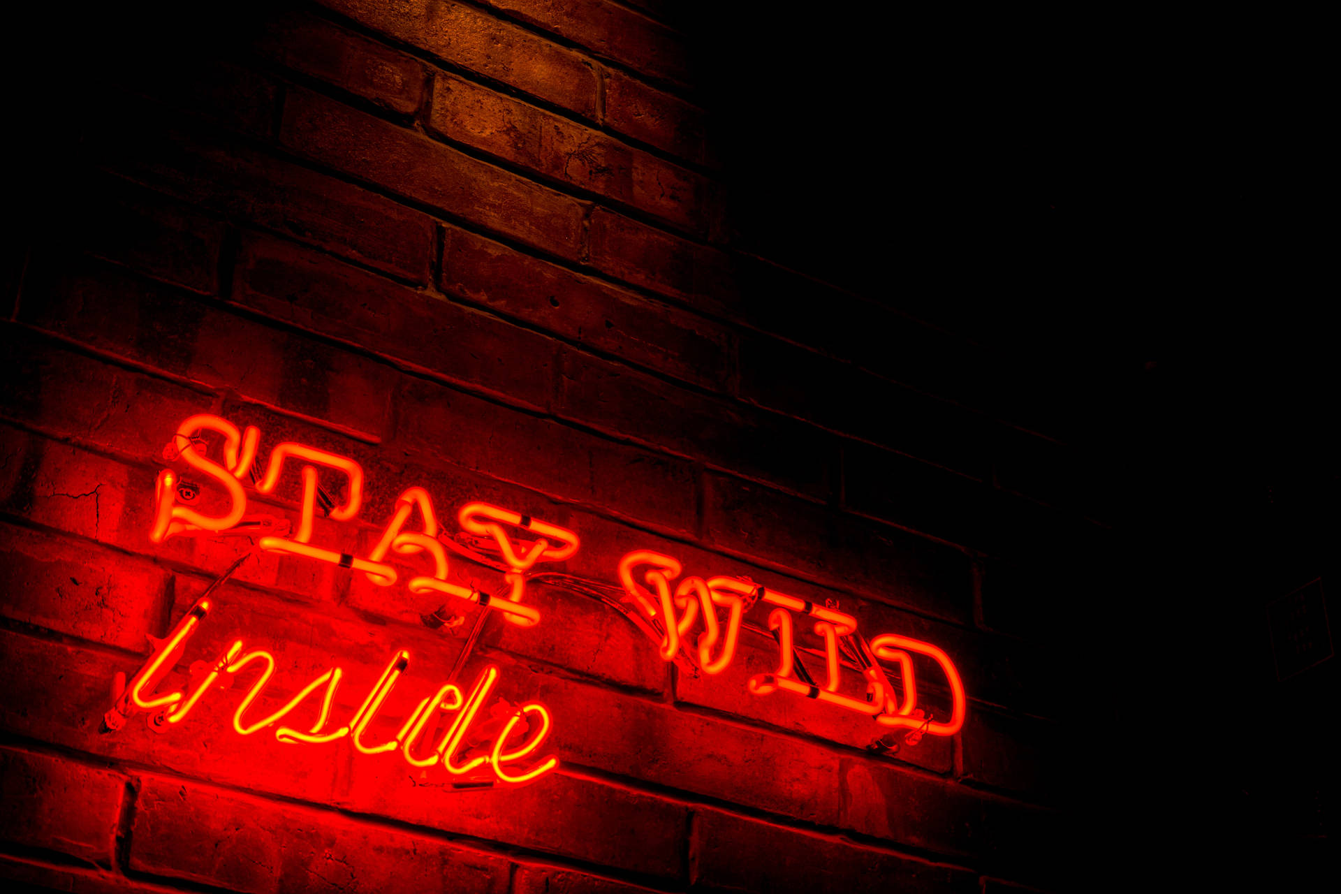 Stay Wild Inside Neon Sign