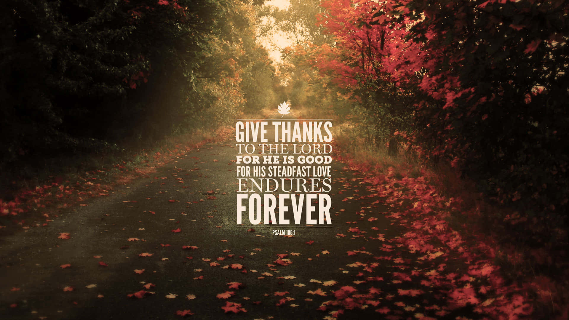 Steadfast Love Autumn Path Background