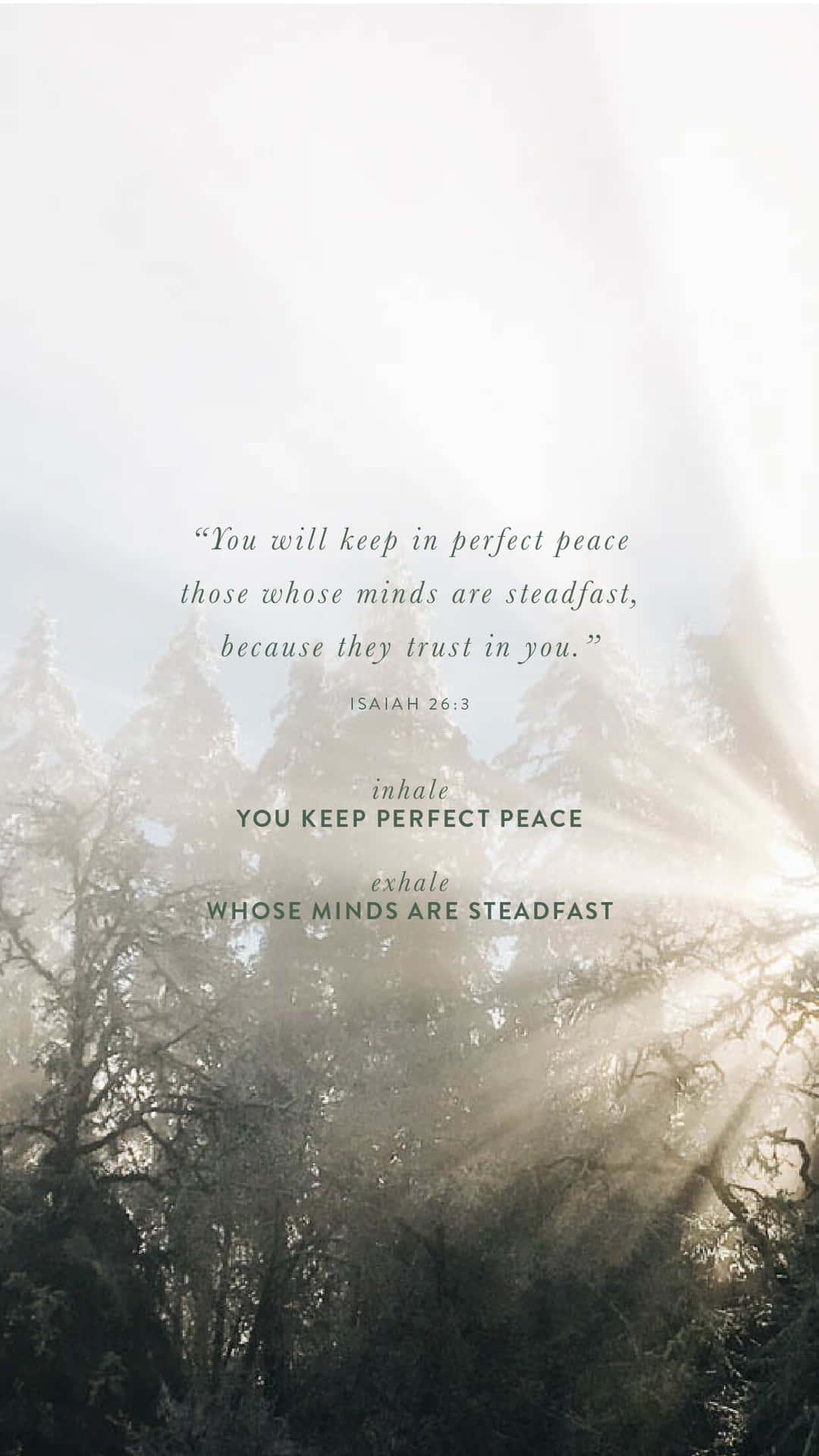 Steadfast Mind Peace Quote Forest Background