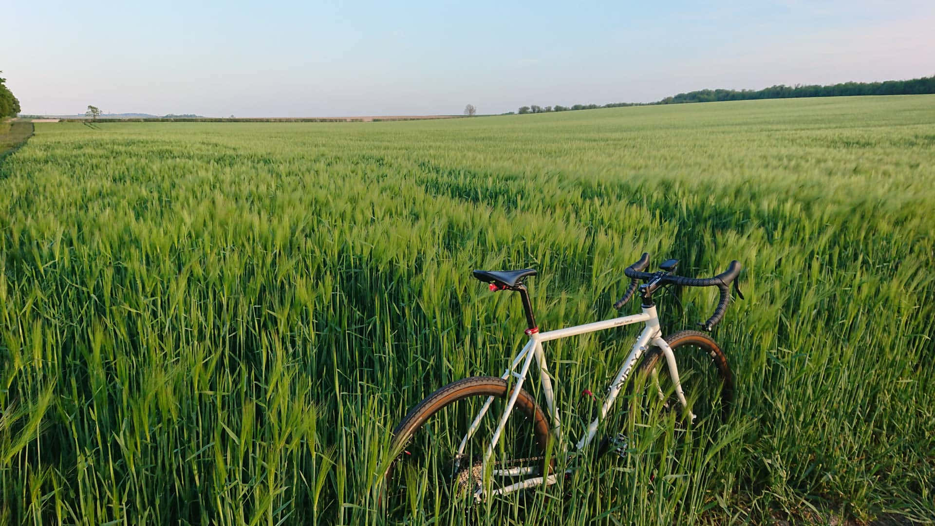 Steel Surly Midnight Special Background
