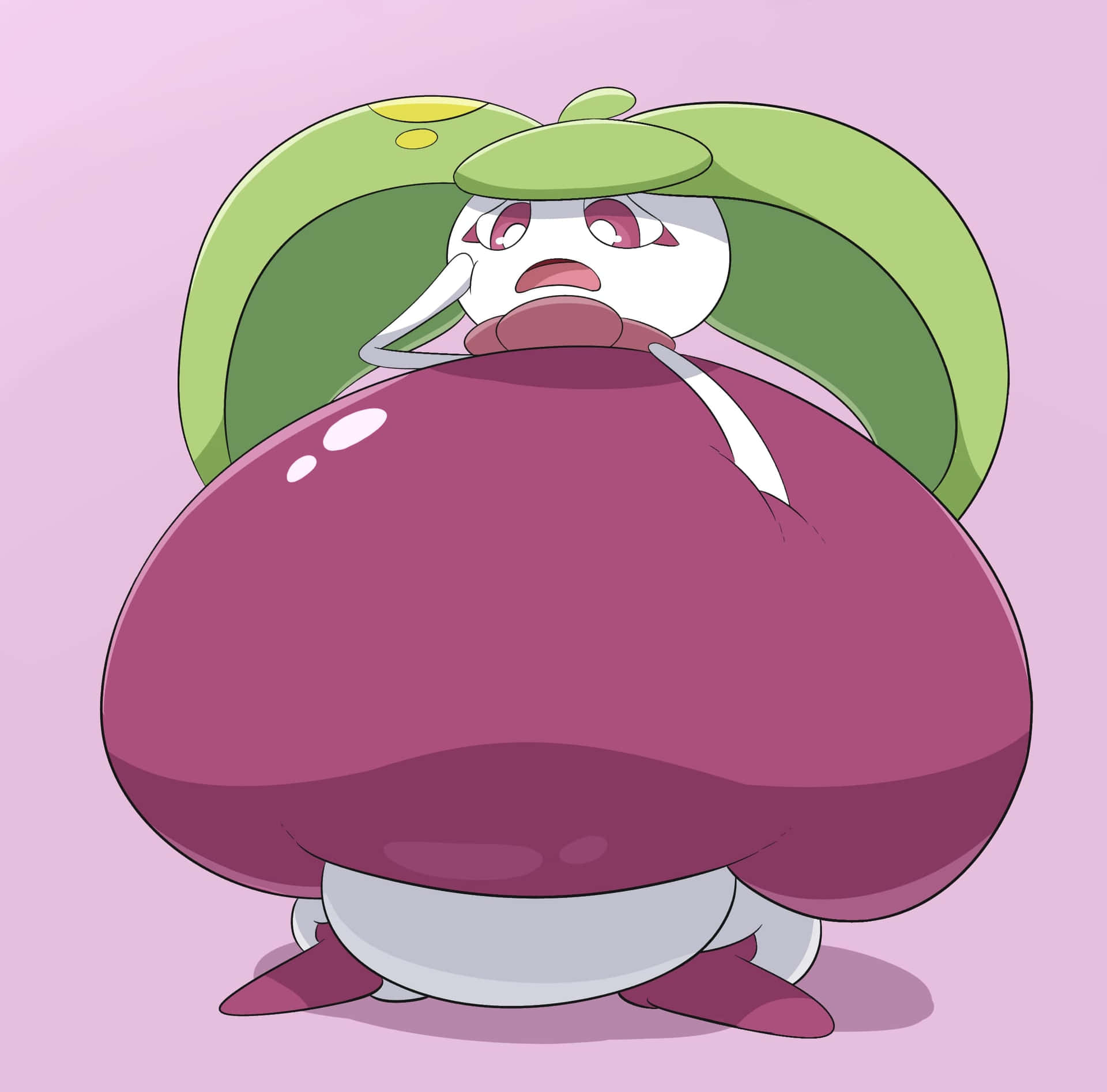 Steenee Big Tummy Background