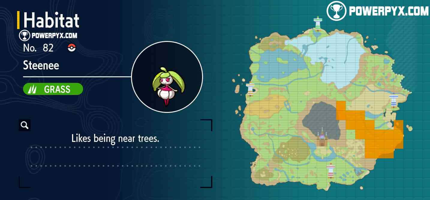 Steenee Details Background