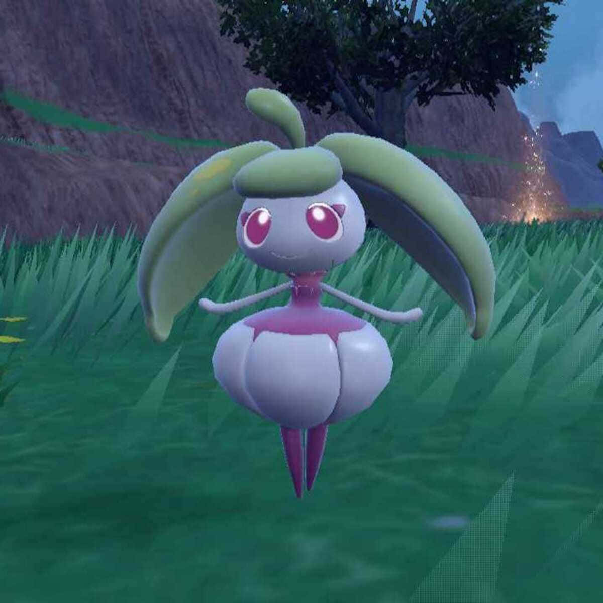 Steenee Standing In A Field Background