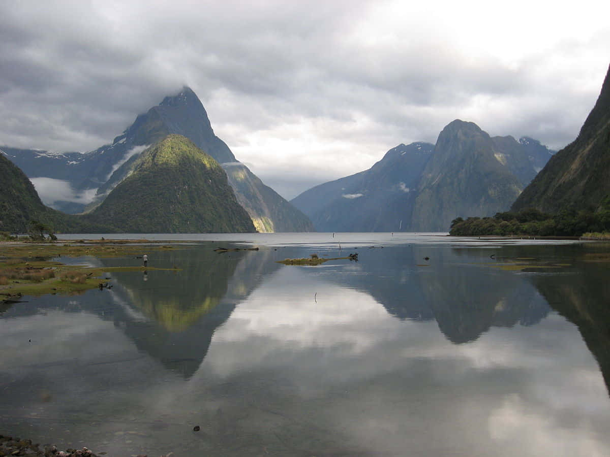 Steep Rock Milford Sound