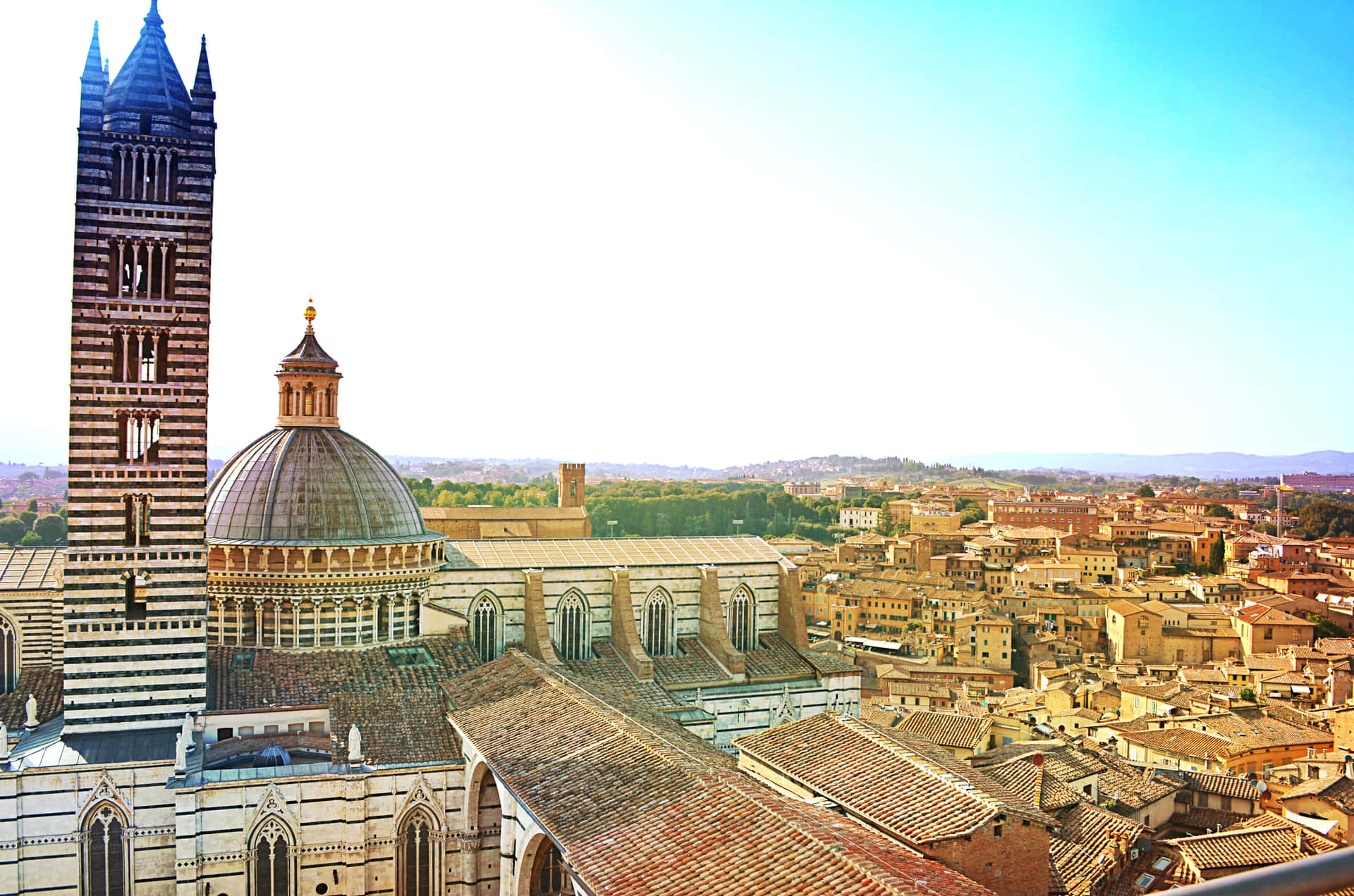 Steeple Of Duomo Di Siena Background