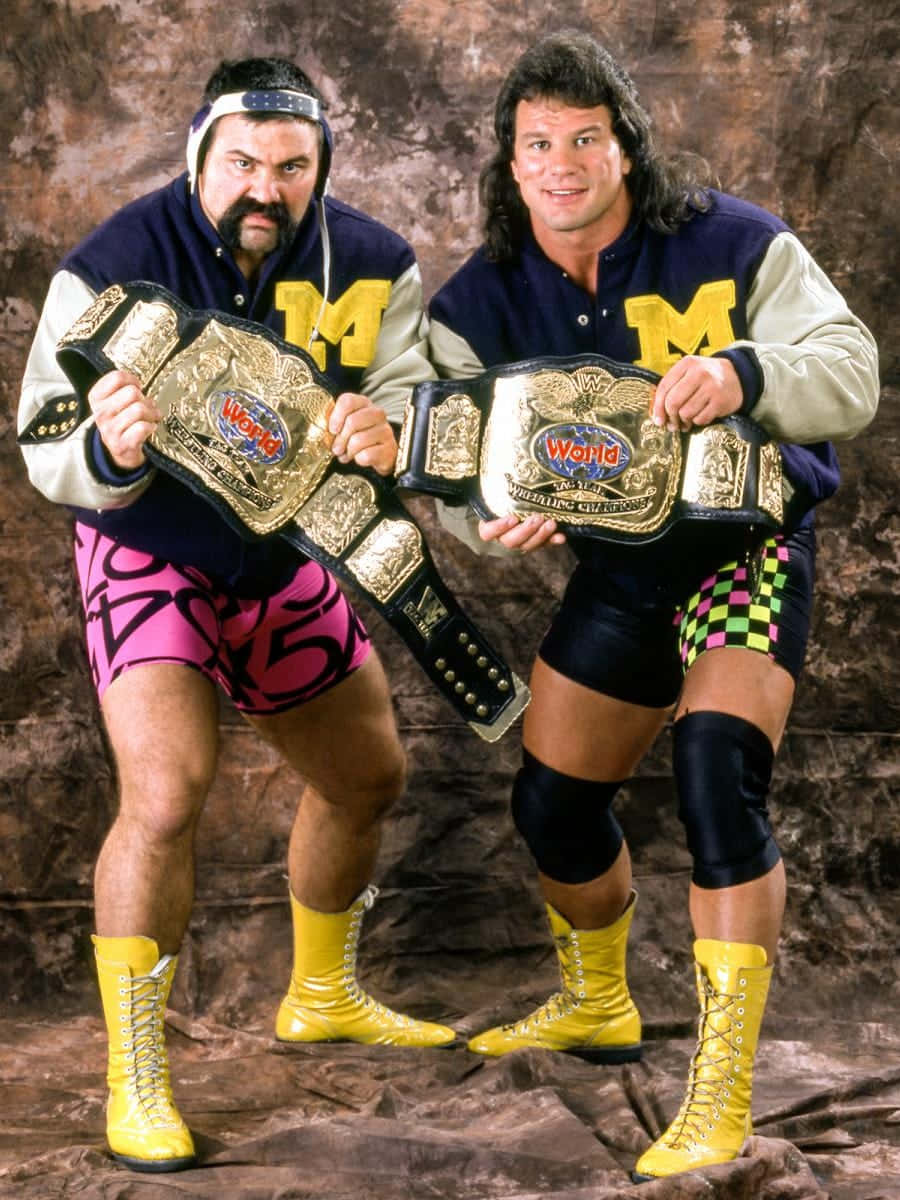 Steiner Brothers Tag Team Champions Background