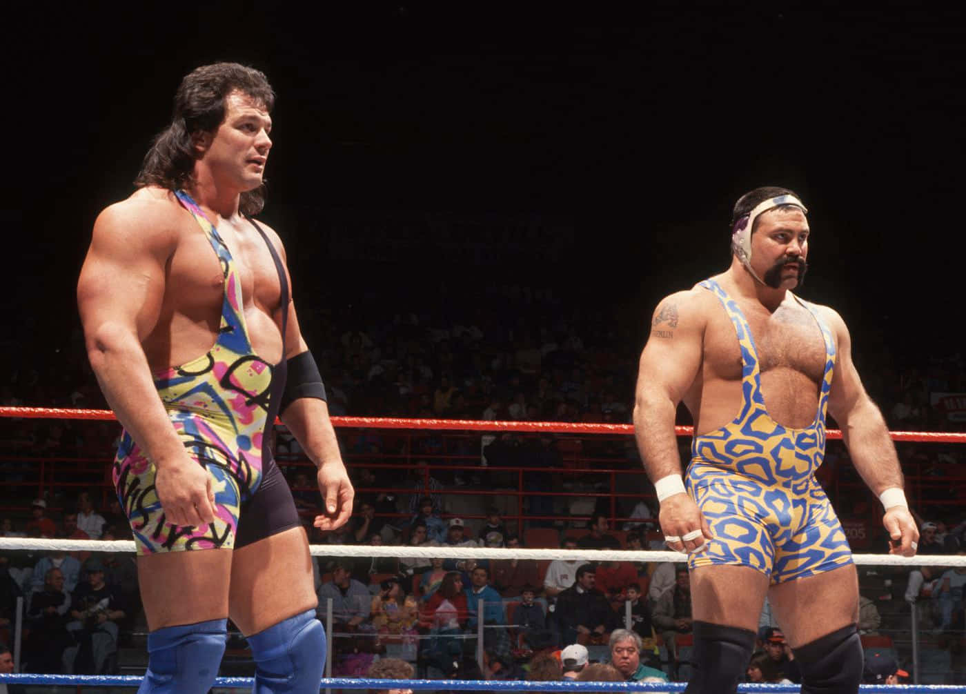 Steiner Brothers Tag Team Wrestlers Background