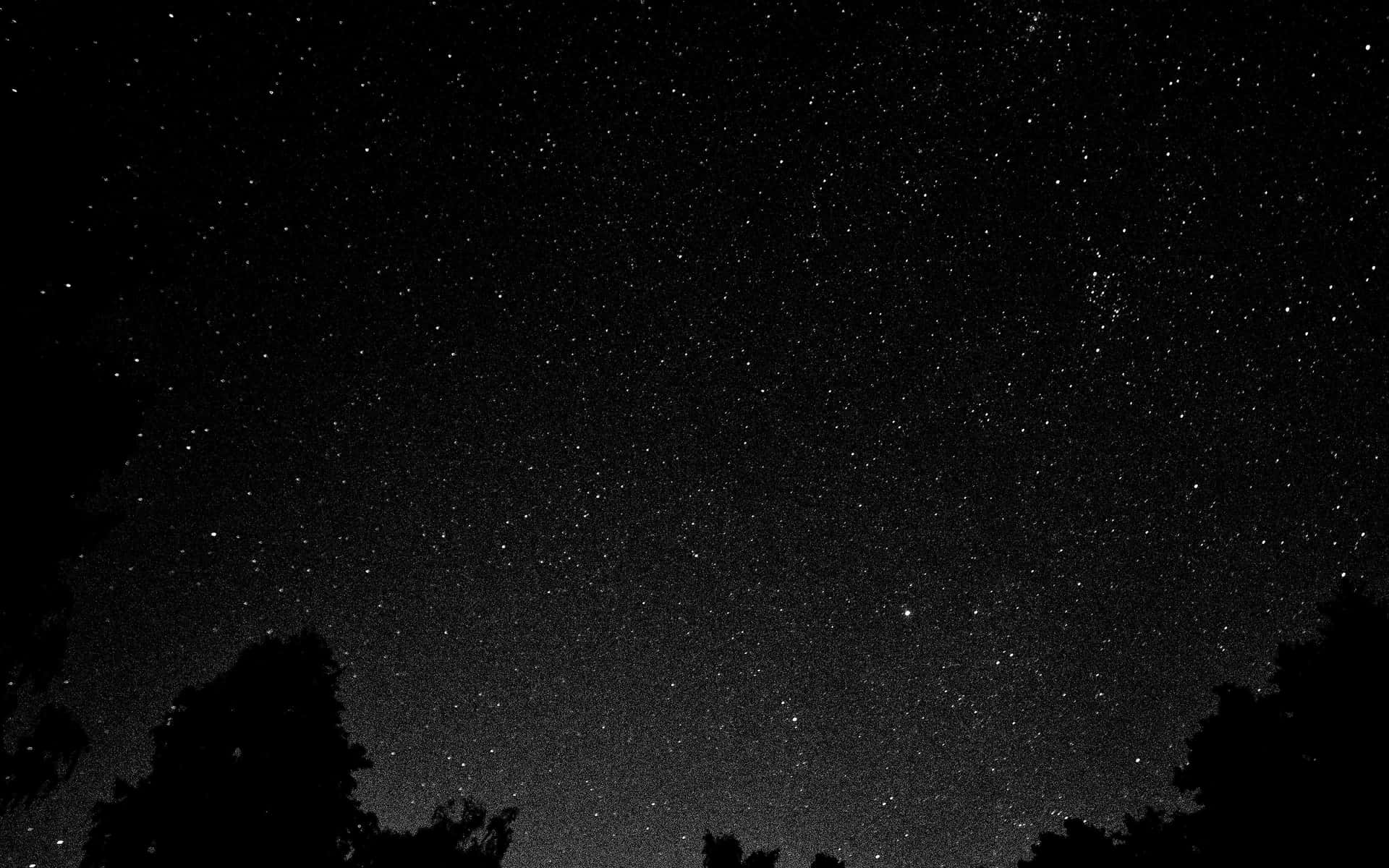 Stellar Magnificence: Black And White Star Background