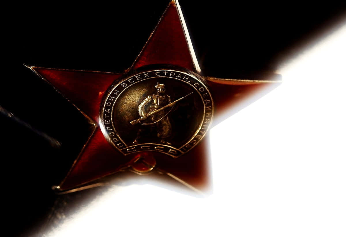 Stellar Night Sky Background