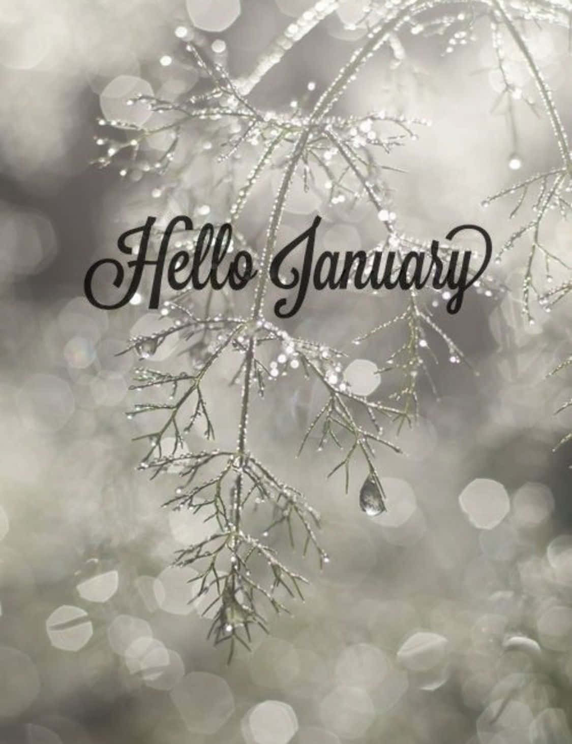 Step Into The New Year With January Phone! Background