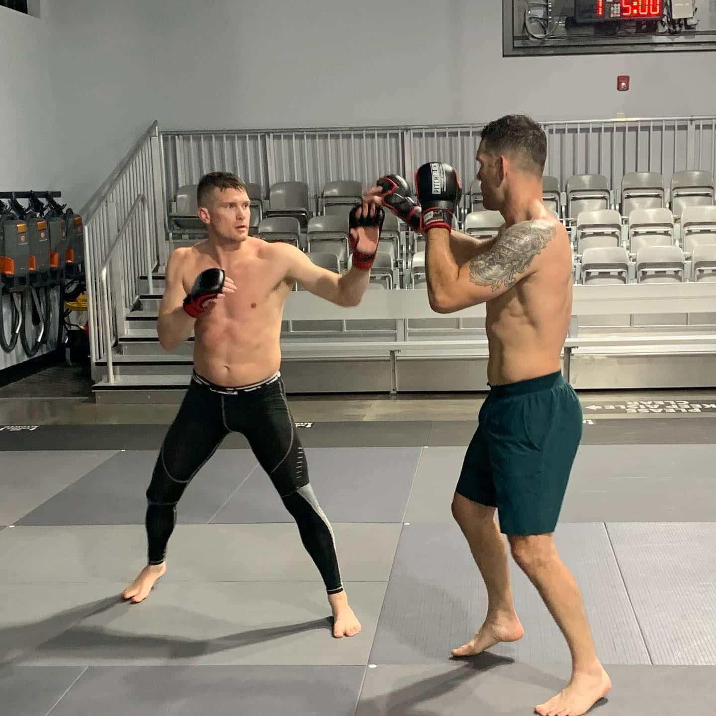 Stephen Thompson Emerging Victorious In The Cage Background