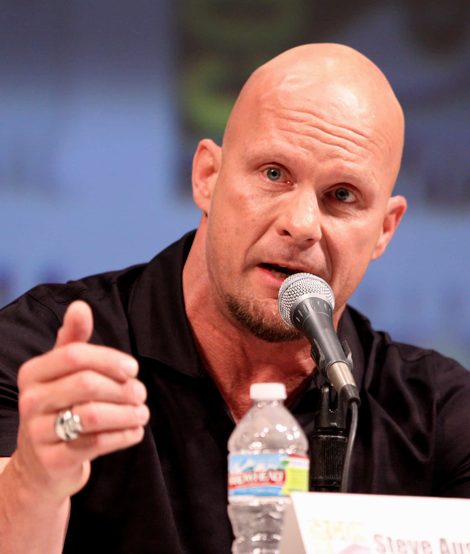 Steve Austin Comic Con Background