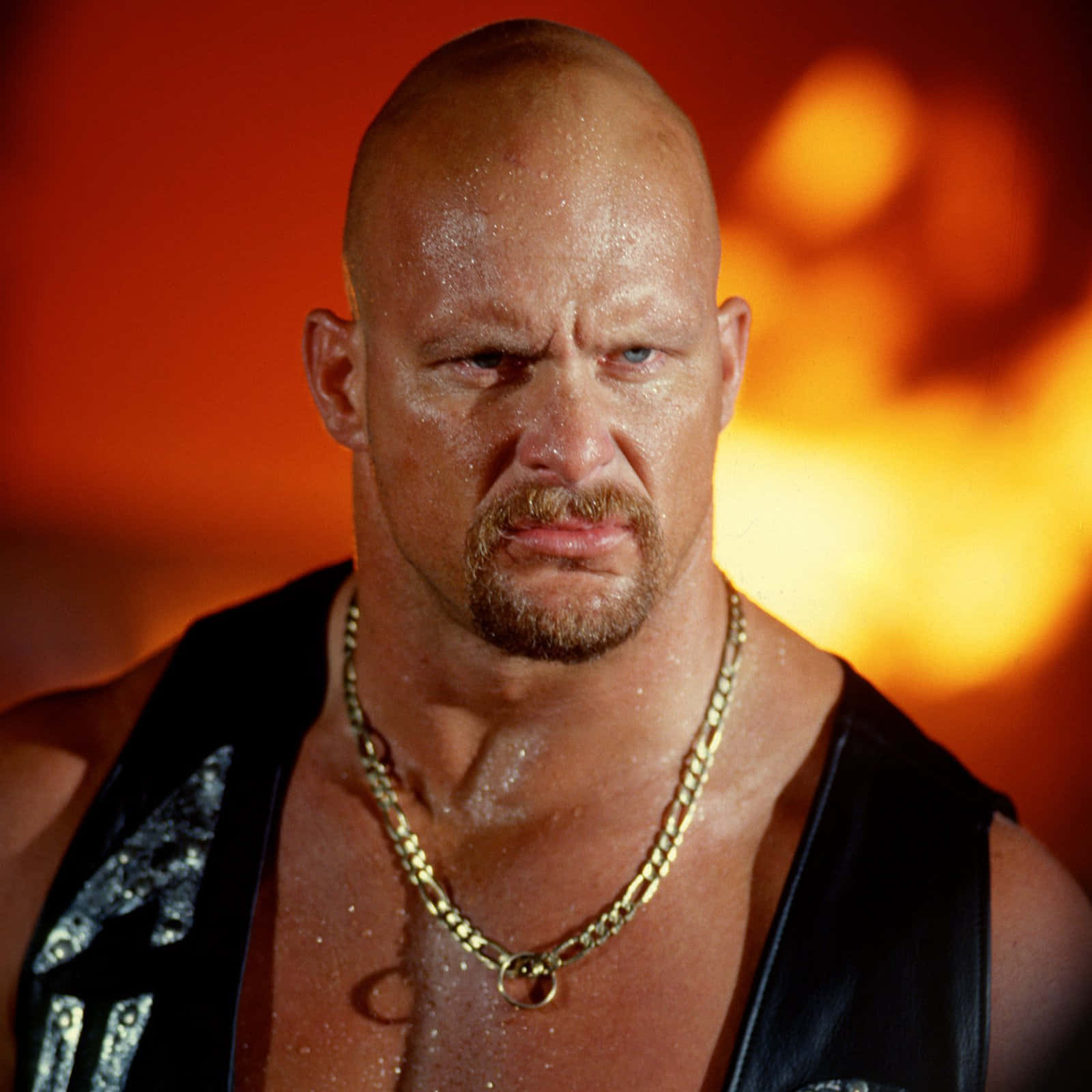 Steve Austin Stone Cold Wwe