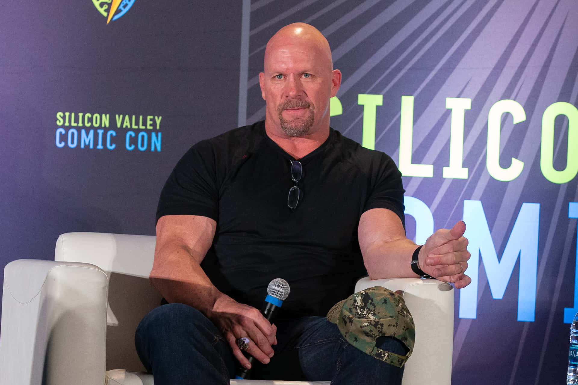 Steve Austin Tv Personality Background