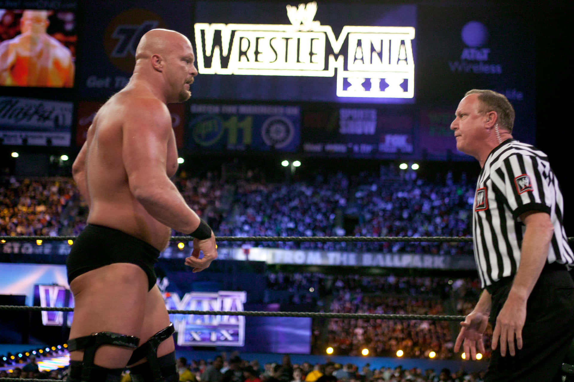 Steve Austin Wrestle Mania Final Match