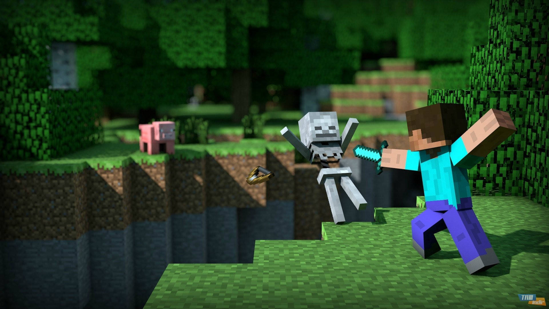 Steve Fighting A Skeleton Minecraft Hd Background