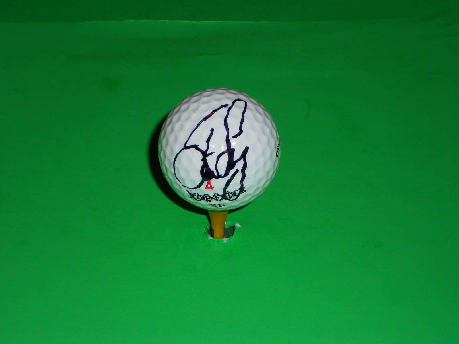 Steve Lowery Hand Signed Golf Ball Background