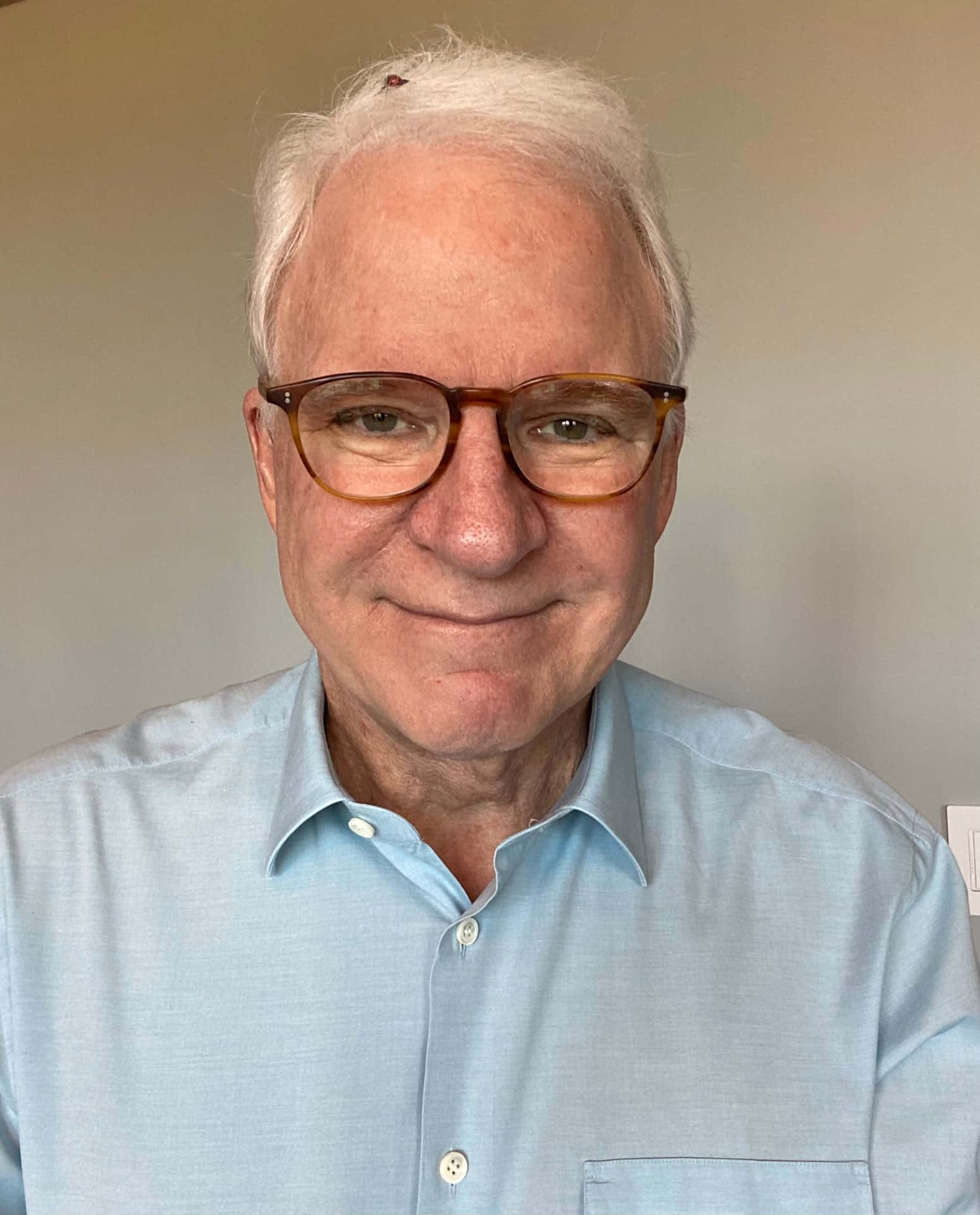 Steve Martin - American Comedian And Actor