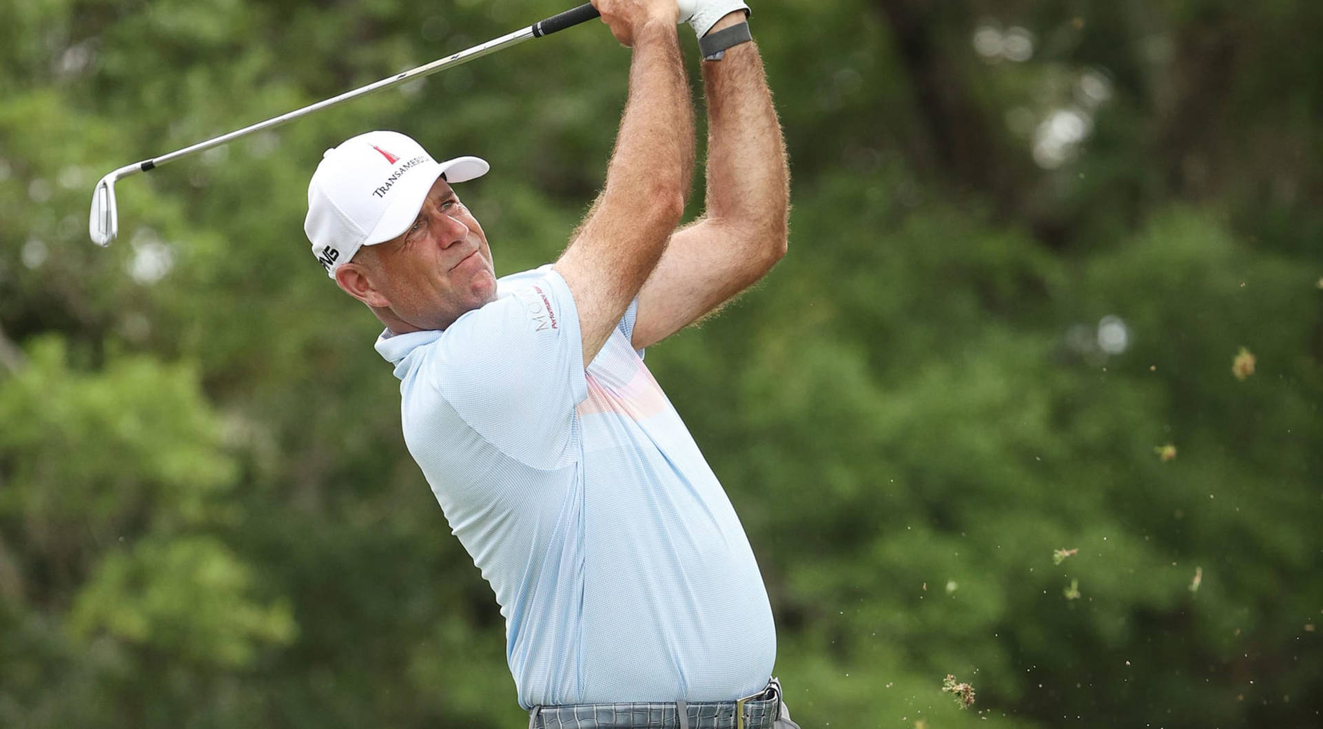 Stewart Cink Foliage