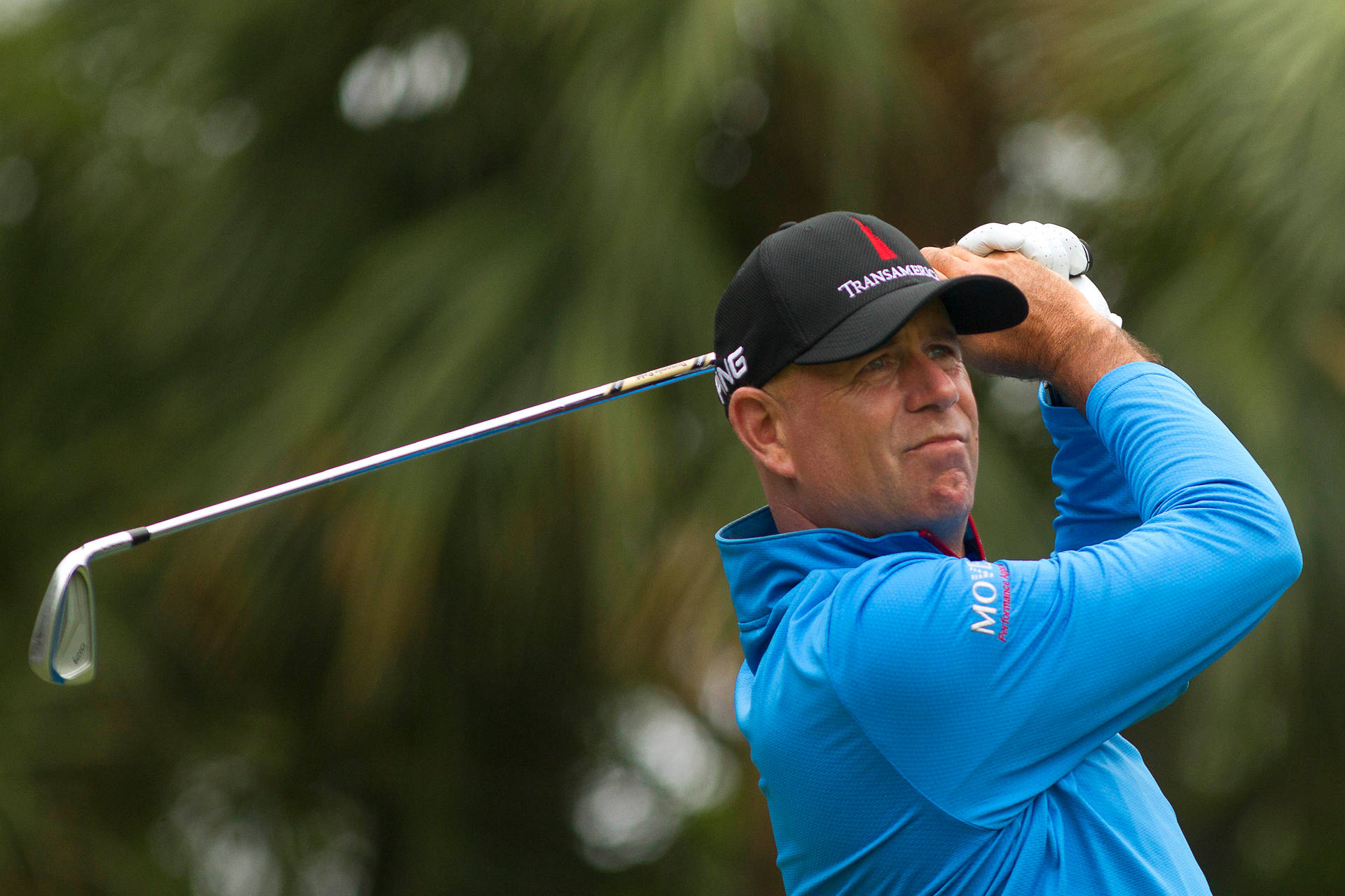 Stewart Cink Playing Golf