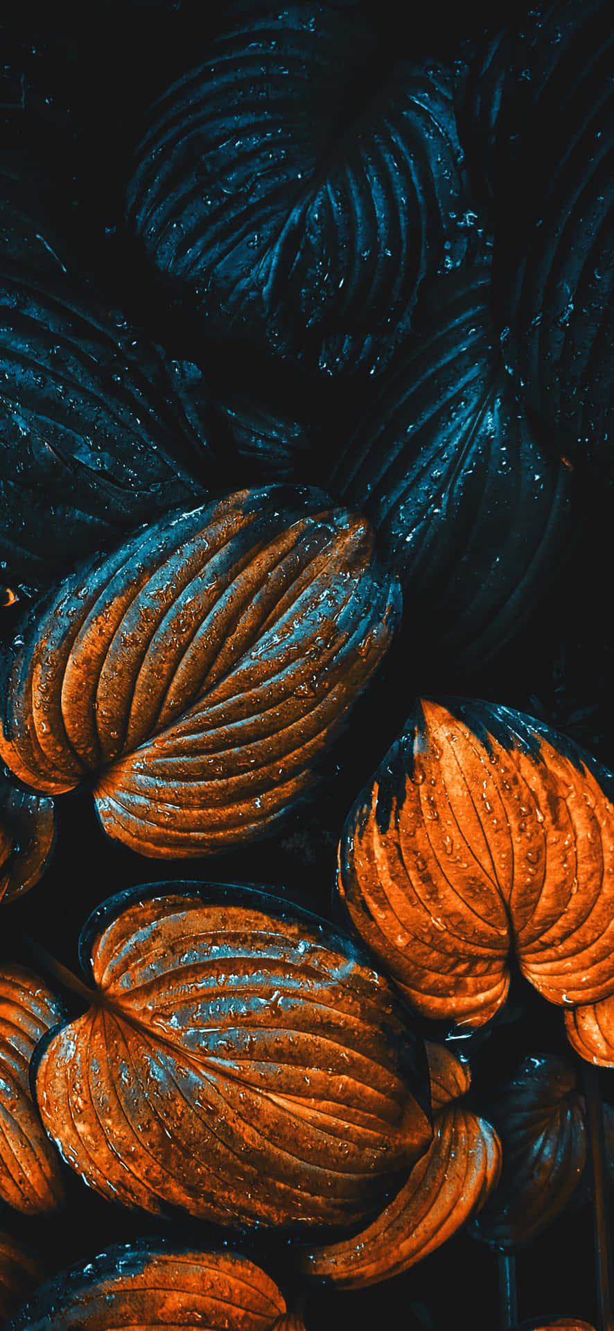 Still Autumn Leaves Background
