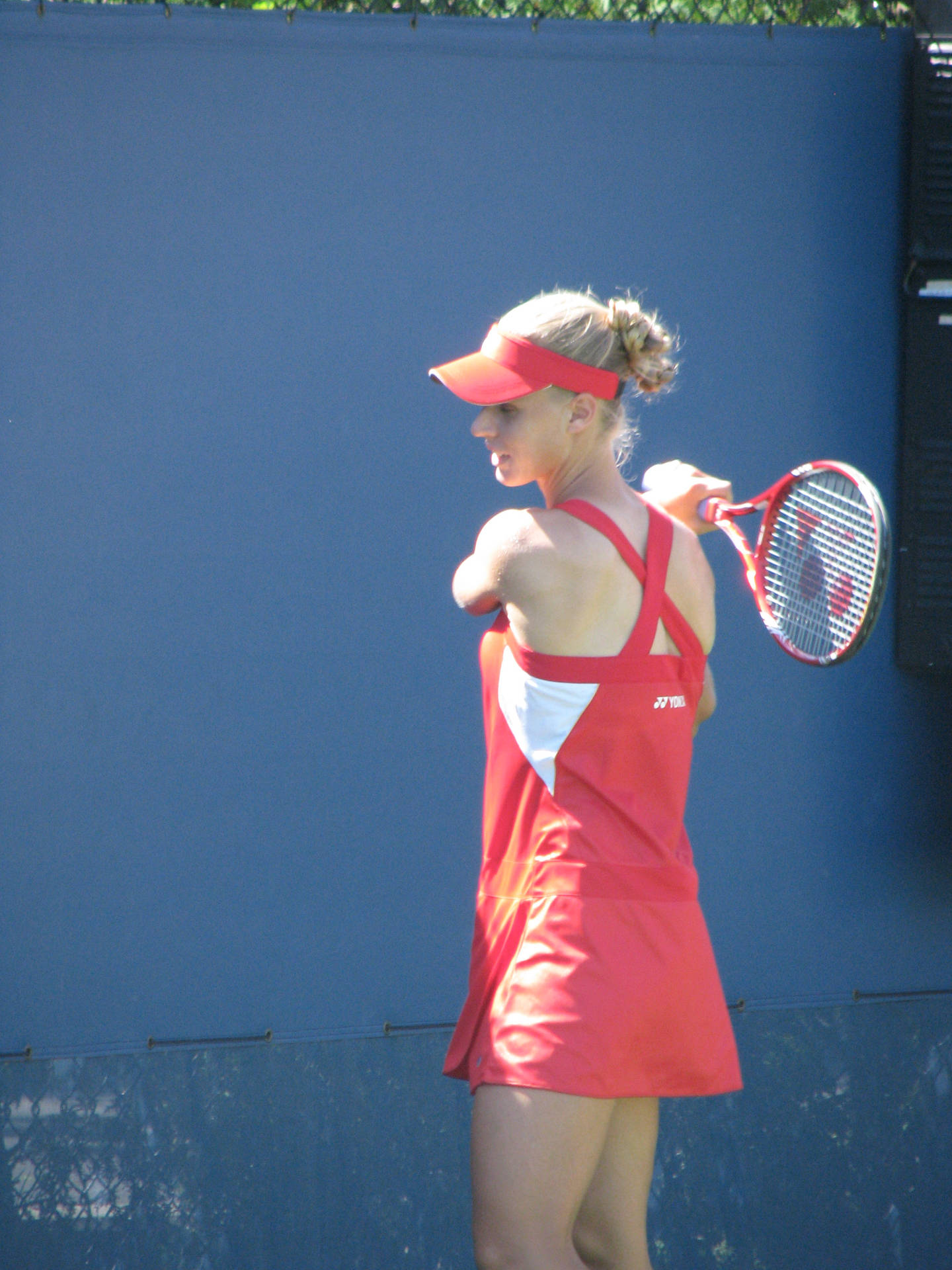 Stolen Shot Elena Dementieva