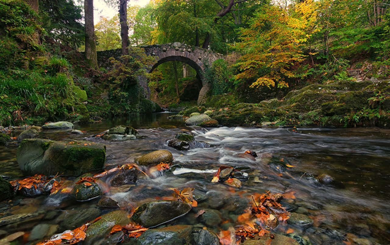 Stone Bridge In Rocky River Ireland Desktop Background