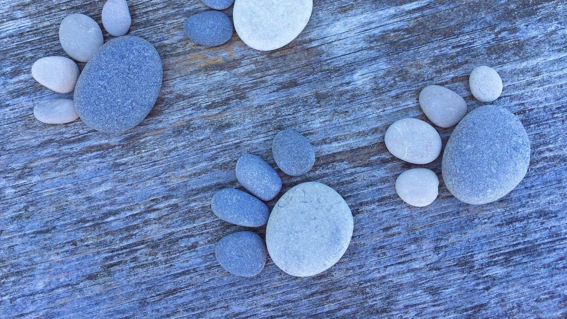 Stone Crafted Paw Prints On A Trail Background