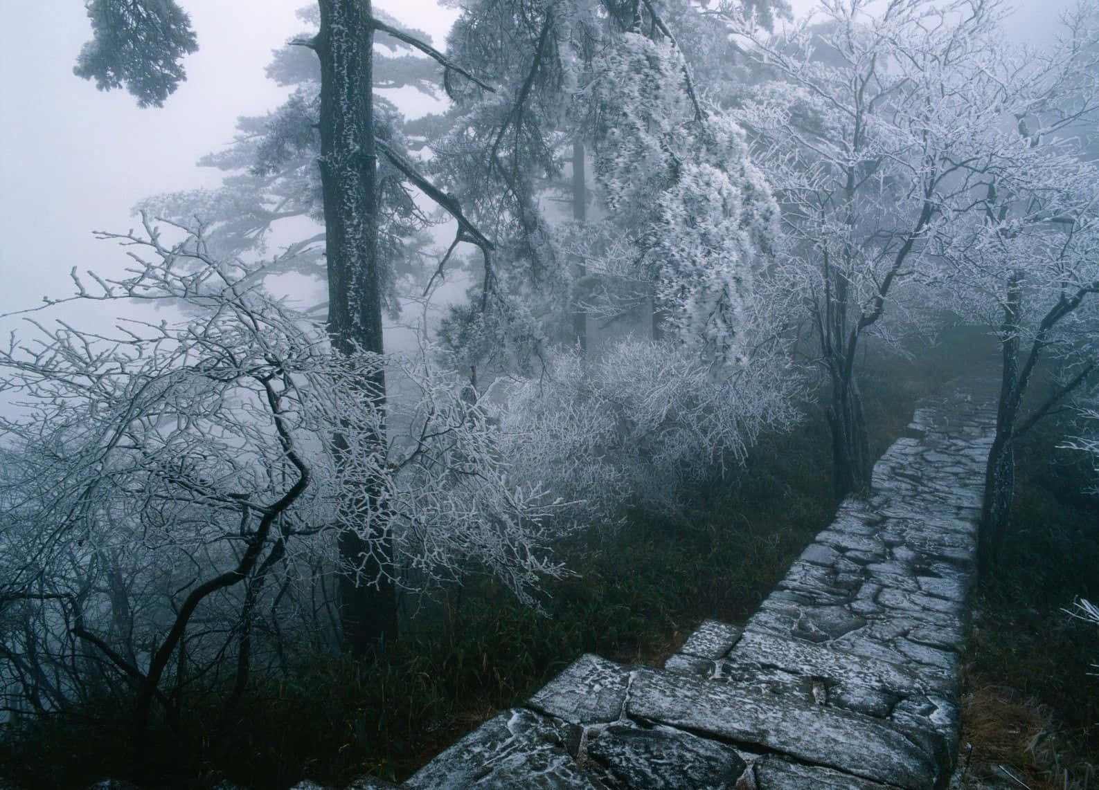 Stone Wall Winter Wonderland Desktop