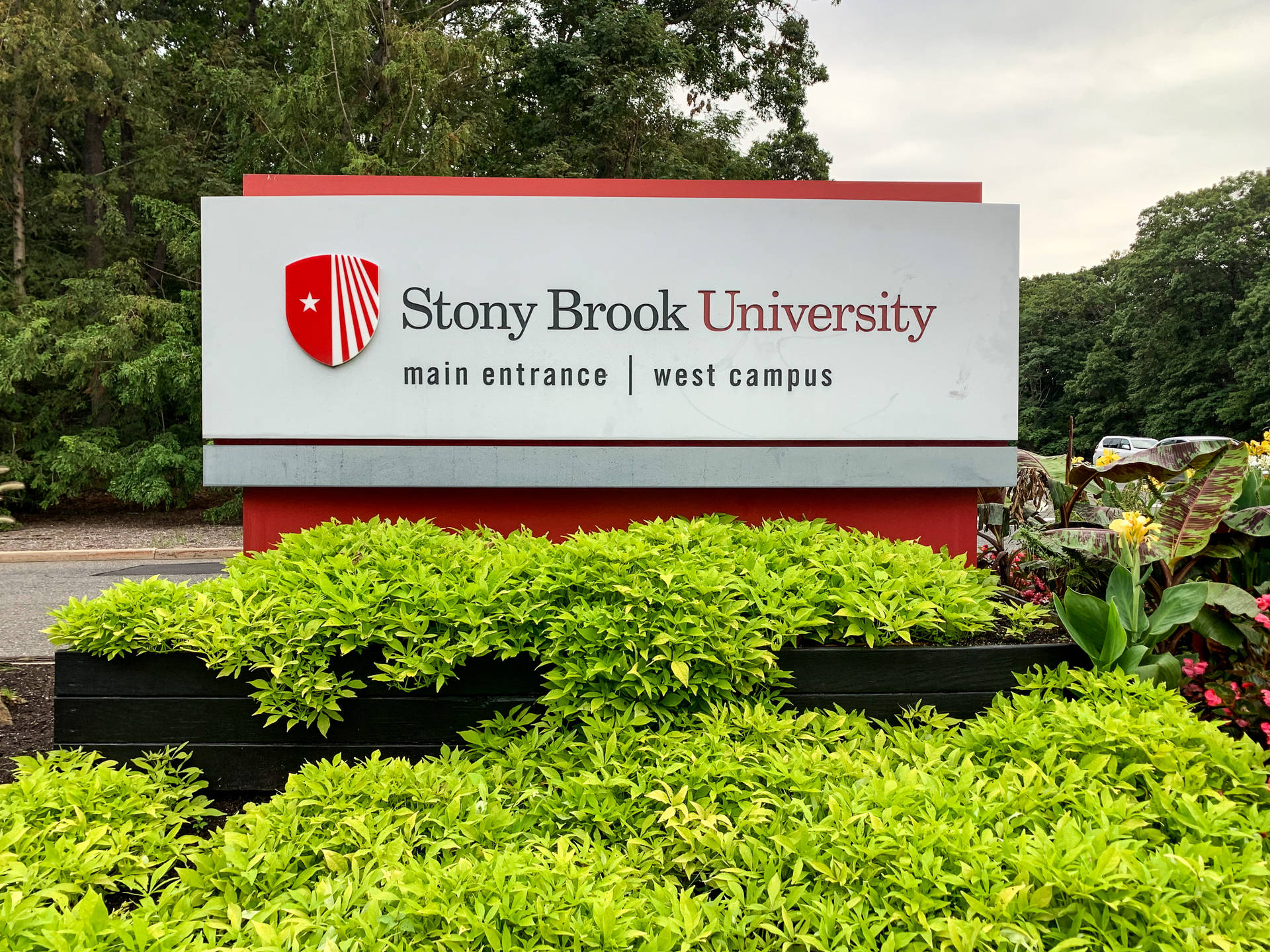 Stony Brook University Main Entrance Background