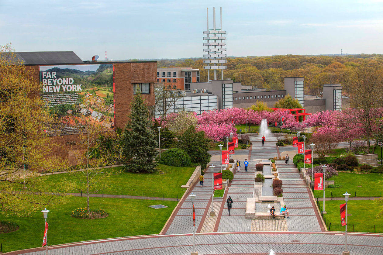 Stony Brook University Pathway Background