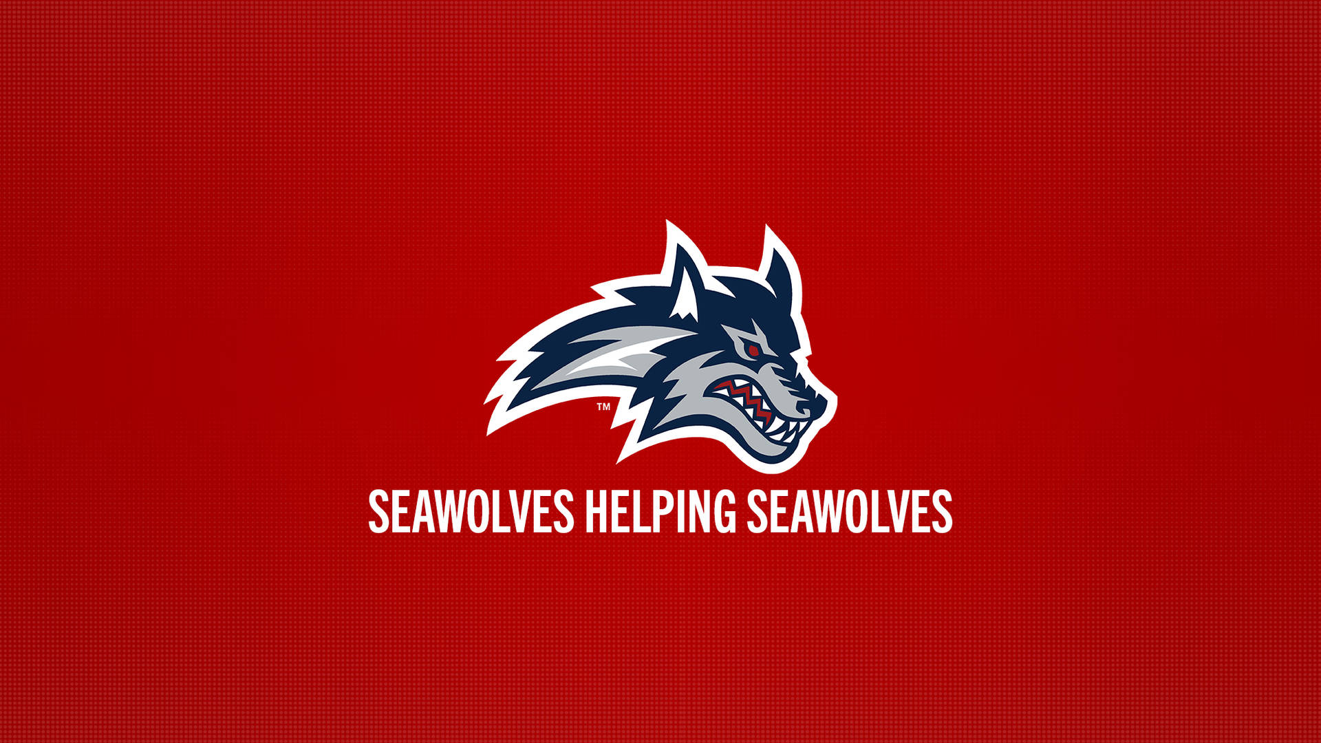 Stony Brook University Simple Seawolves Background