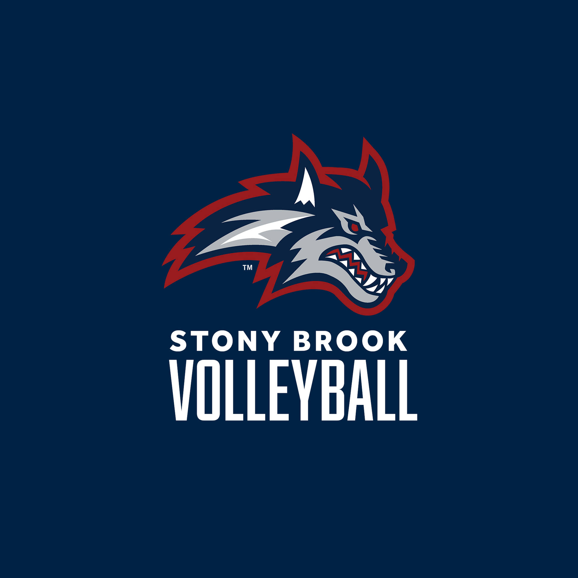 Stony Brook University Volleyball Poster Background