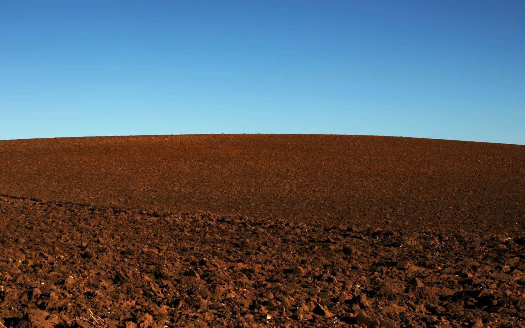 Stony Natural Soil Sunny Day Background