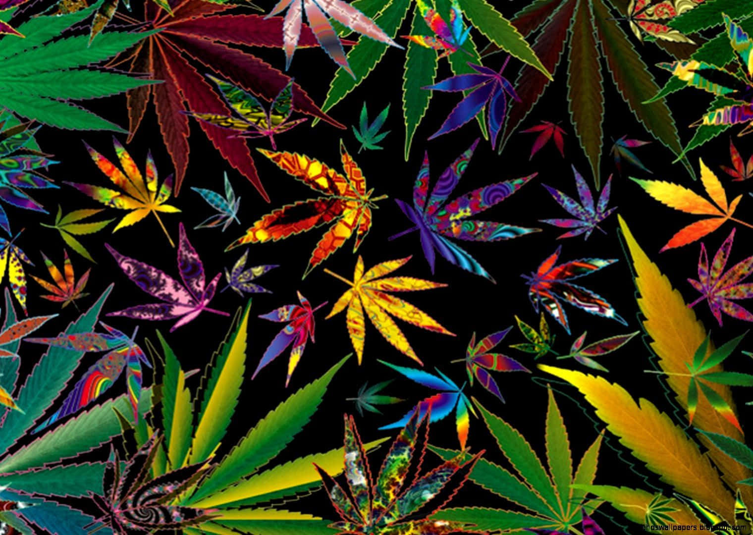 Stop Looking, We've Already Got The Perfect Phone For All The Stoners Out There: The Stoner Iphone. Background