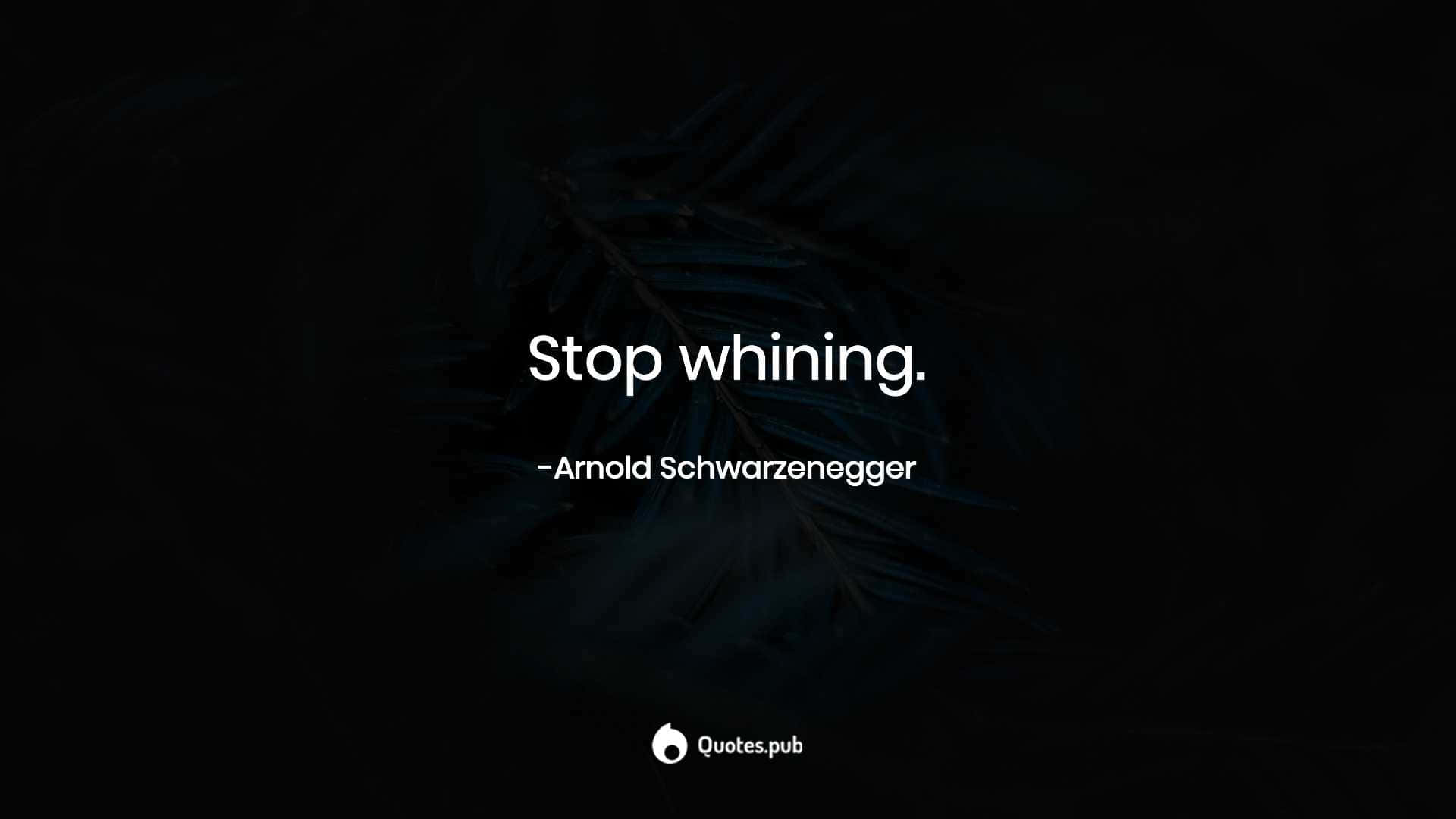 Stop Whining Quote Arnold Schwarzenegger