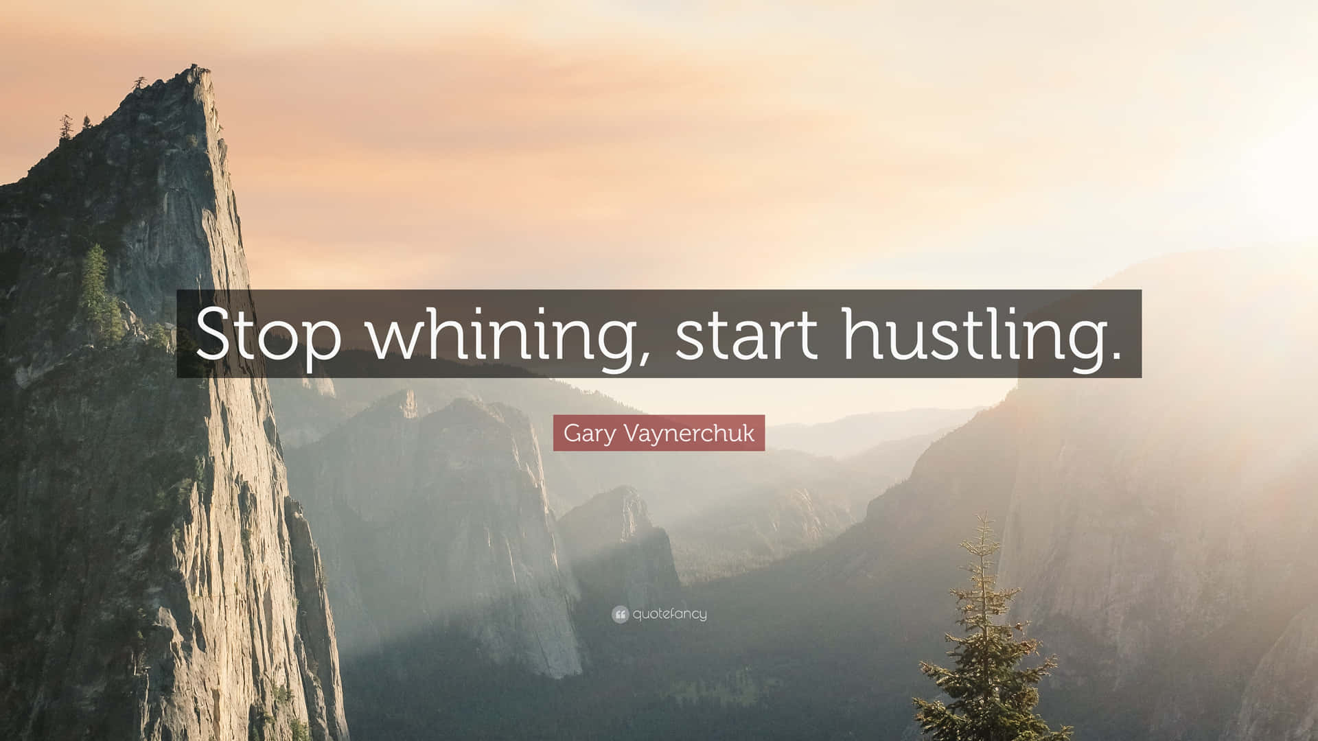 Stop Whining Start Hustling Quote
